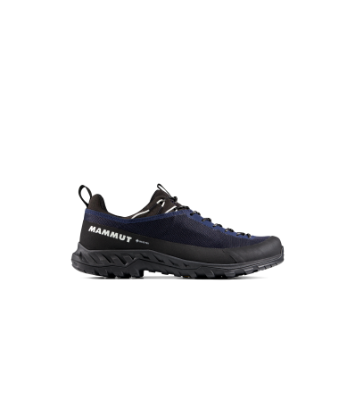 Обувки Mammut Alnasca IV Low GTX Men