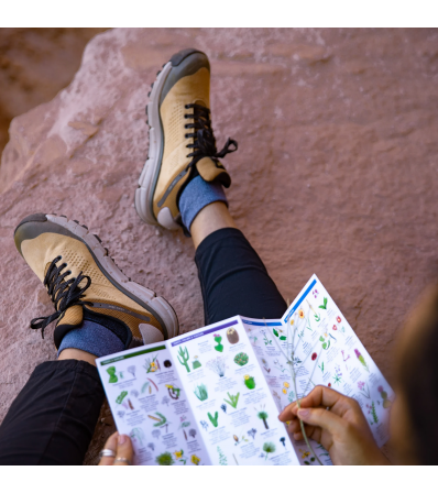 Обувки Danner Trail 2650 Gtx W's