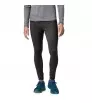 Клин Patagonia Peak Mission Tights M's Winter 2025